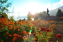 dawn-1165781__180
