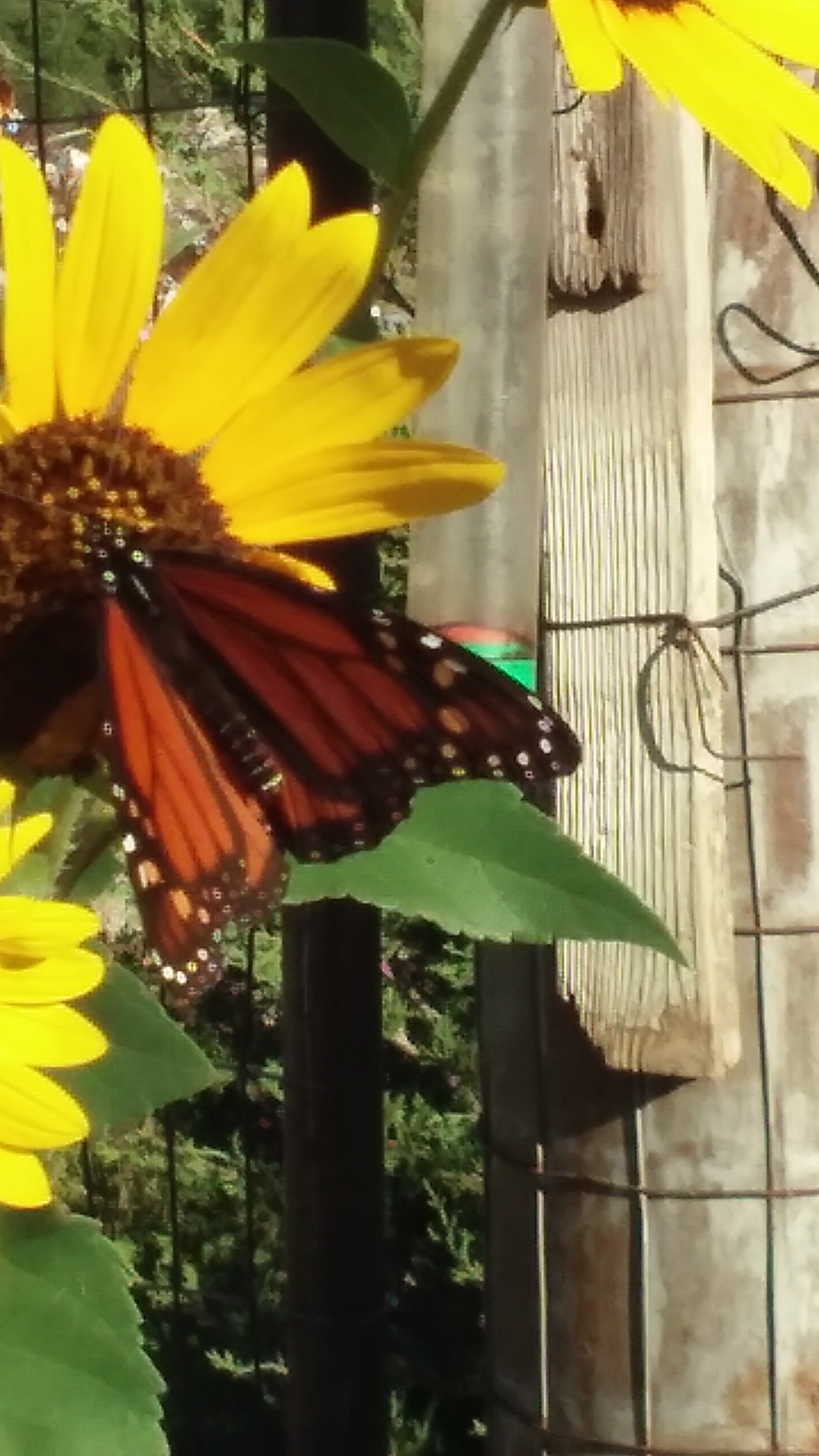 20160926_093211