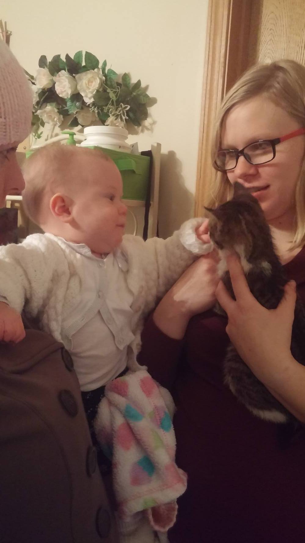 15354283_10154820979238804_999700263_o