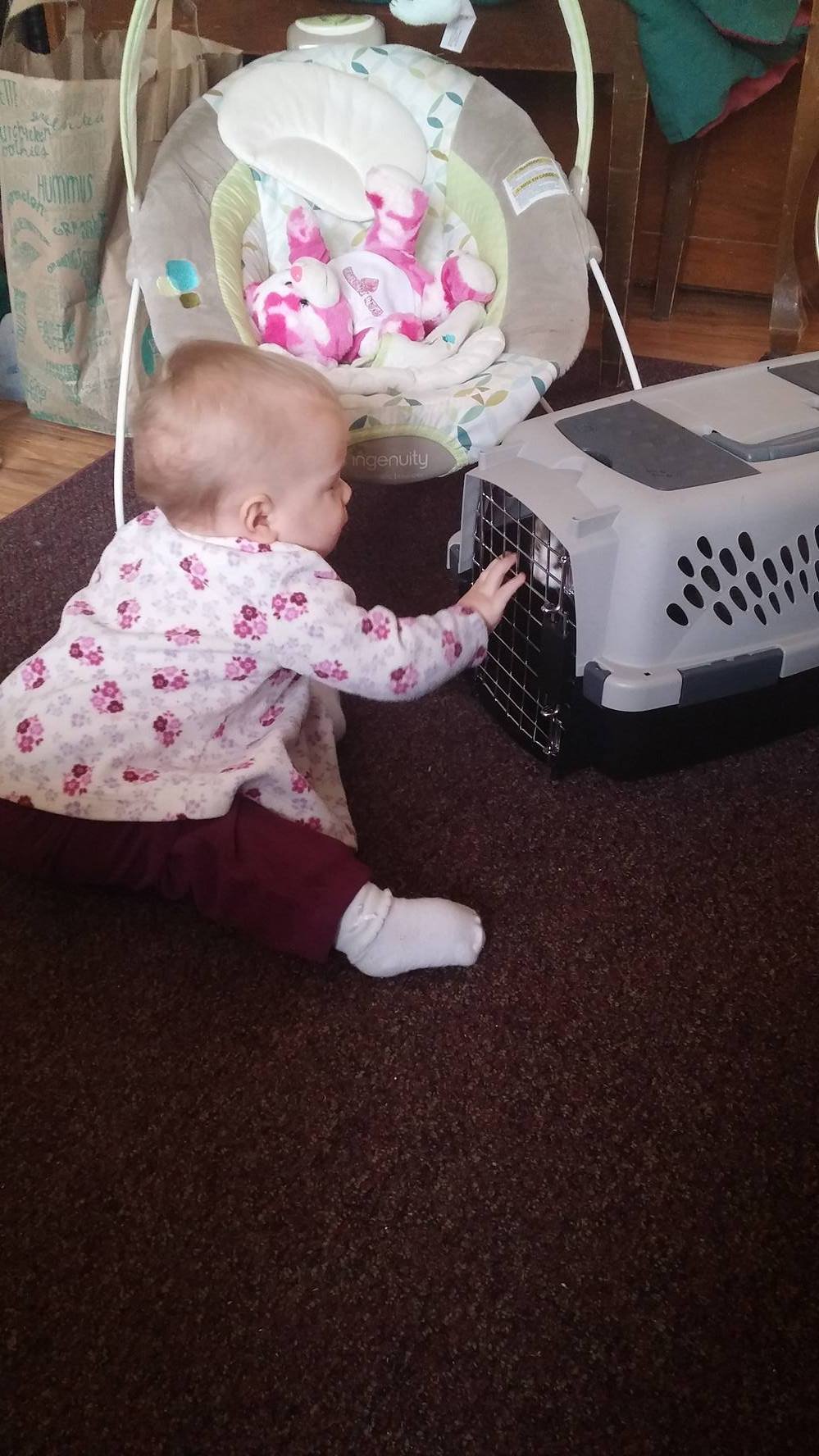 15368983_10154833407218804_1284910142_o