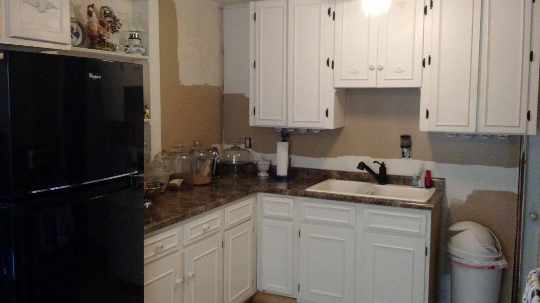 New paint color in kitchen - 11-16-2017