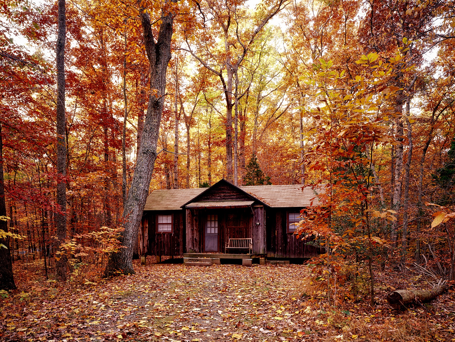 autumn-1740686_1920